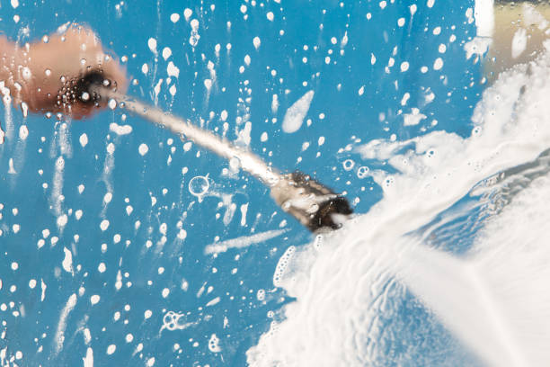 Best Roof Cleaning and Mildew Removal in Cary, NC